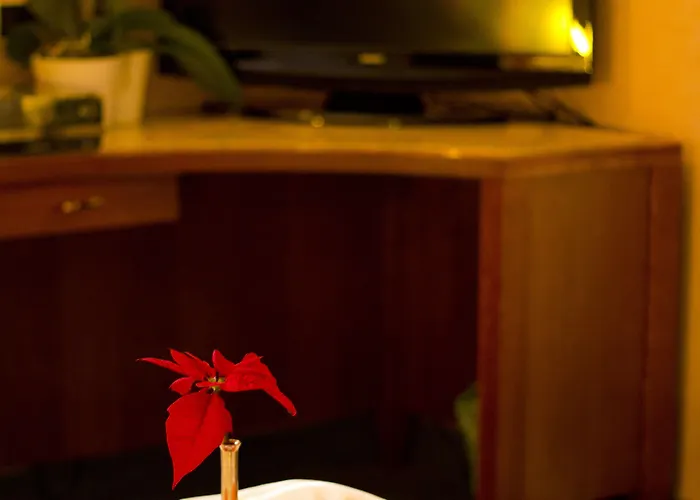 Norden Palace 3* Αόστα